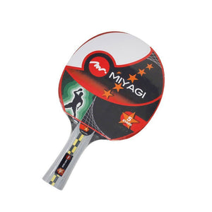 Raqueta Tenis de Mesa 5 Estrellas